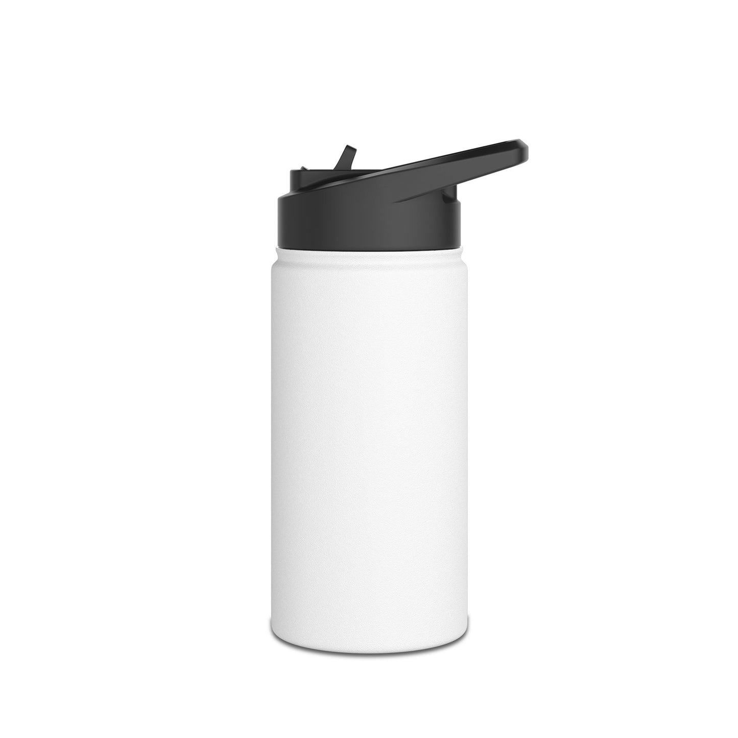 Stylish Stainless Steel Water Bottle
