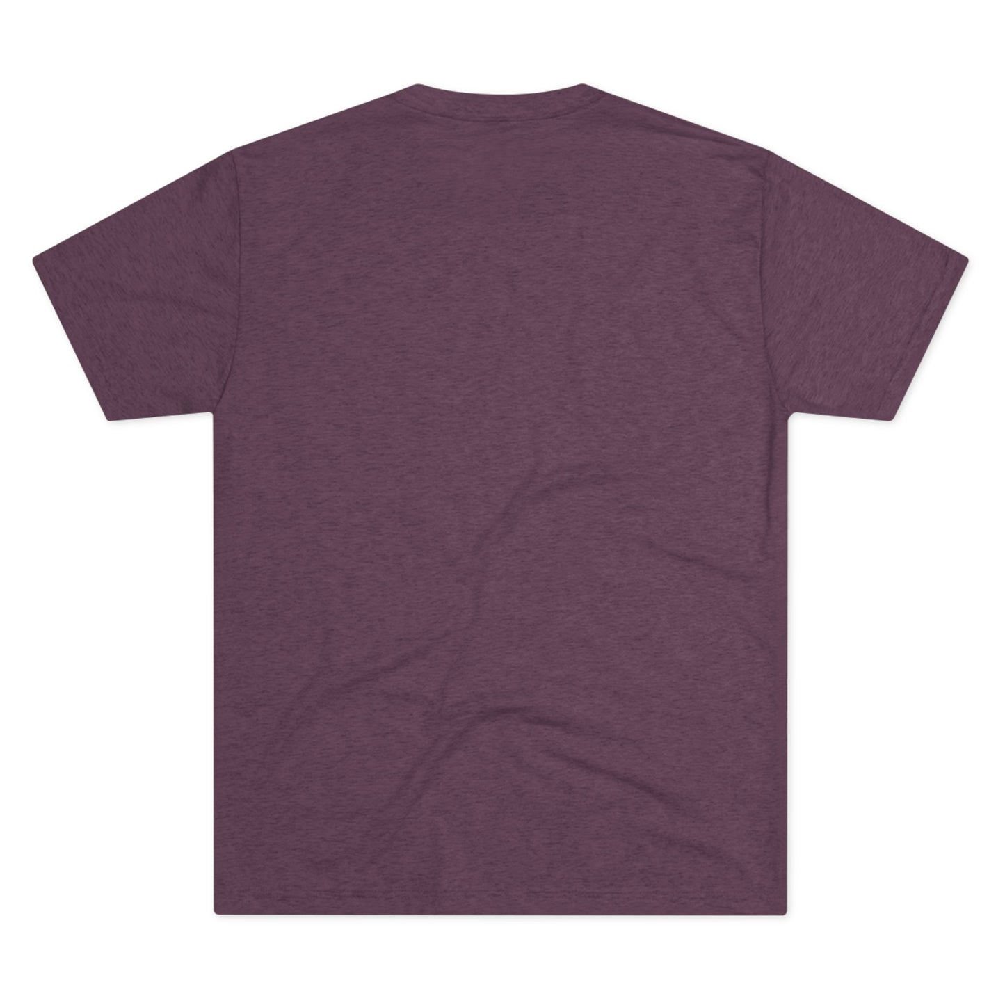 Trainwell Unisex Crew Tee - Tri-Blend